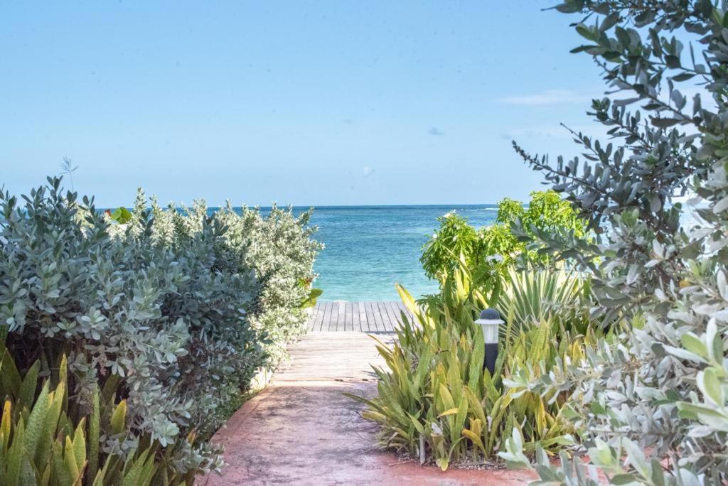 Pasha - Ocean View Appartement Sainte-Anne  Buitenkant foto