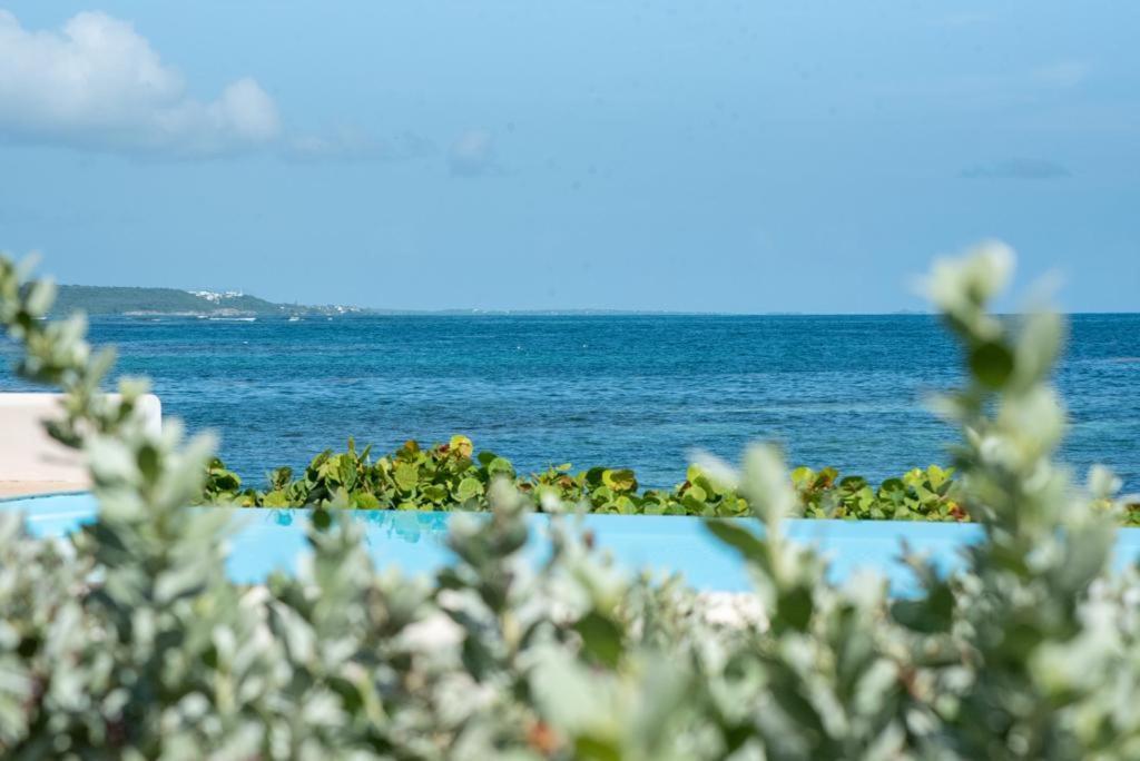 Pasha - Ocean View Appartement Sainte-Anne  Buitenkant foto