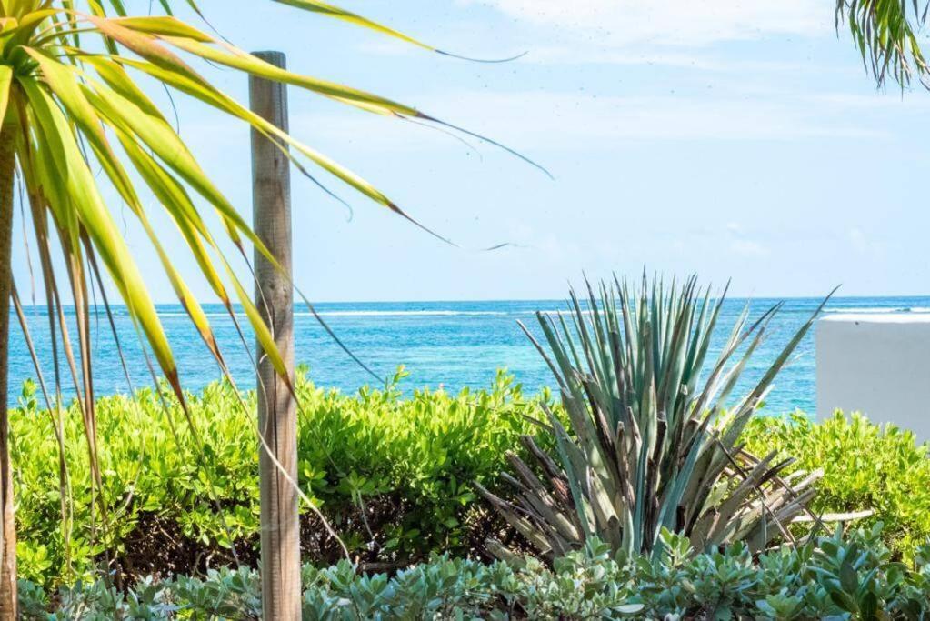 Pasha - Ocean View Appartement Sainte-Anne  Buitenkant foto